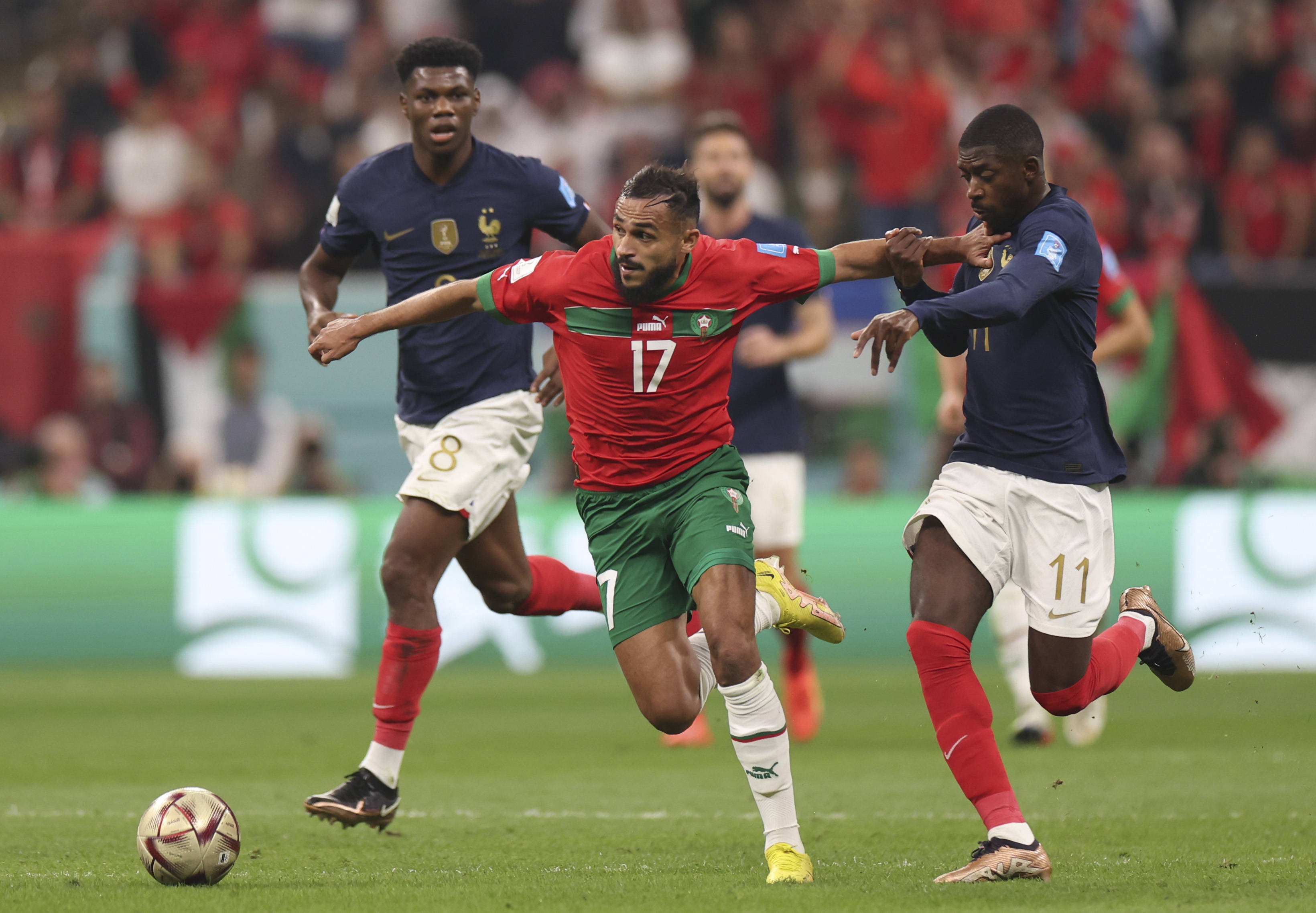 更为精细的 更为精细的