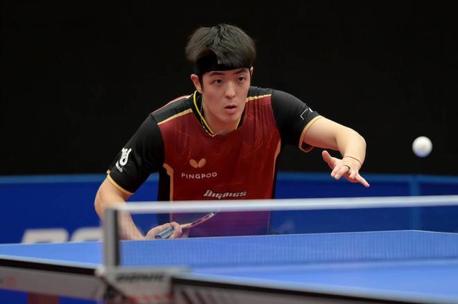 媒体的关注 媒体的关注