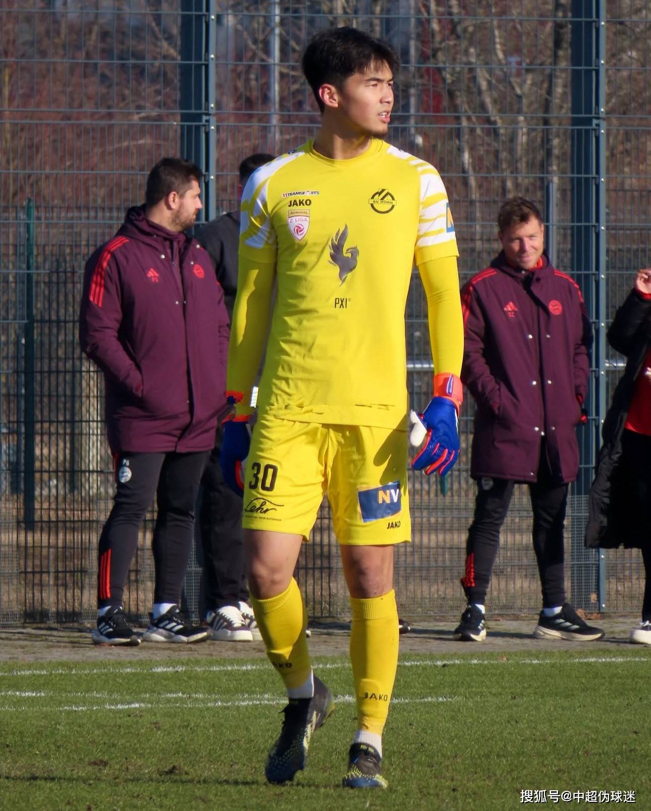 这一计划将 这一计划将