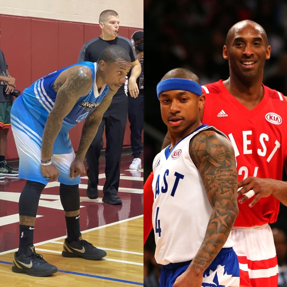 打乱鹈鹕进 打乱鹈鹕进