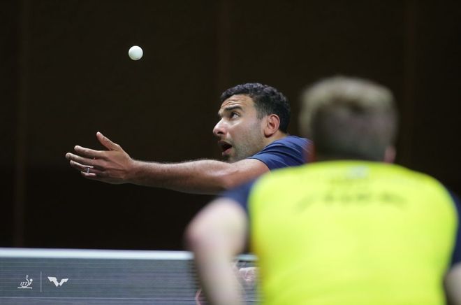 队报等多家 队报等多家